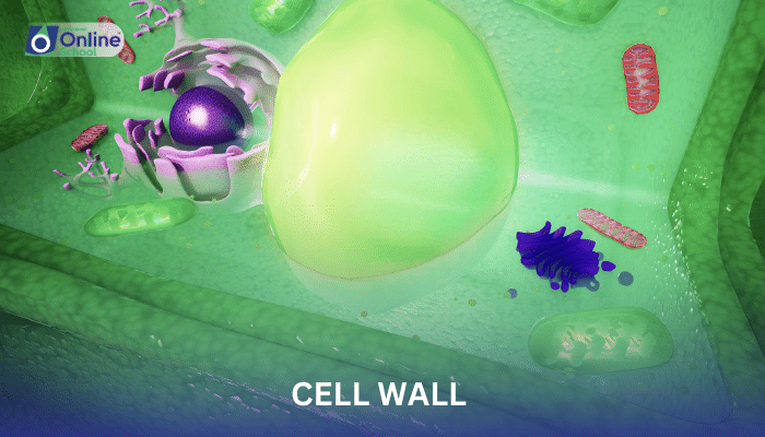 Lesson 04: Cell Wall - Composition and Significance